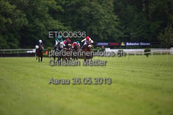 ET0Q0636 prot